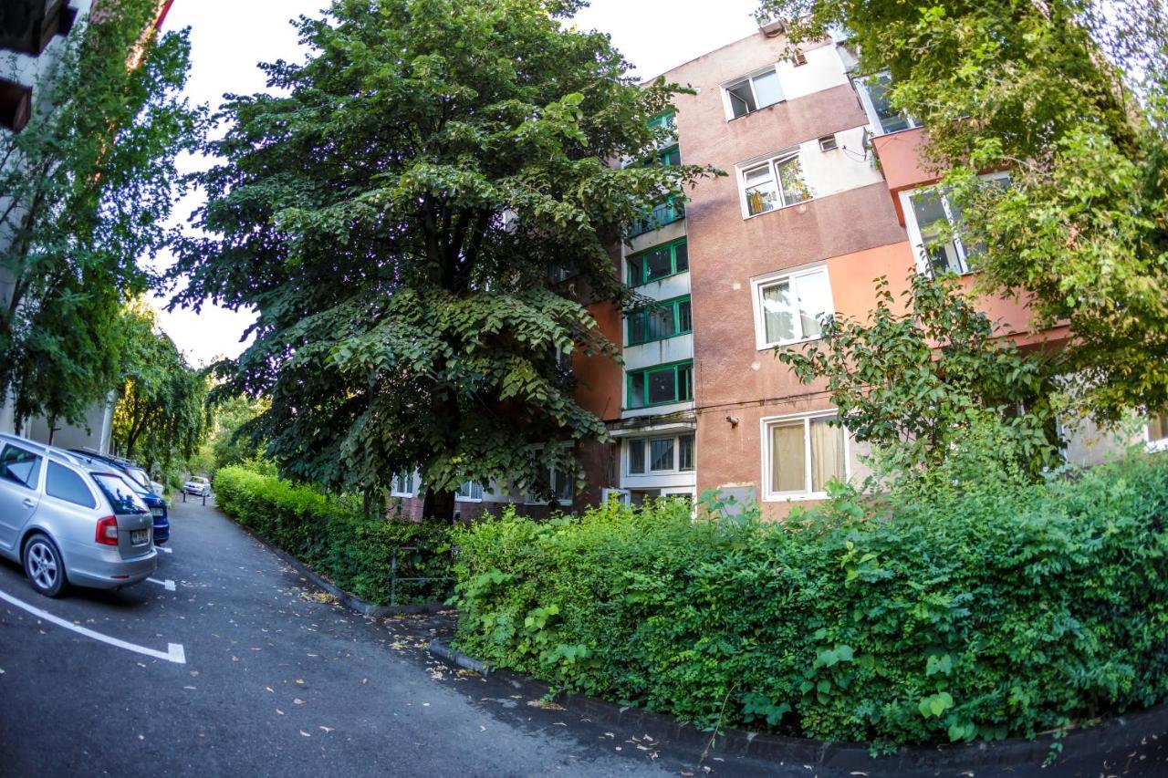 Apartament Family Rivulus 10 Nagybánya Kültér fotó