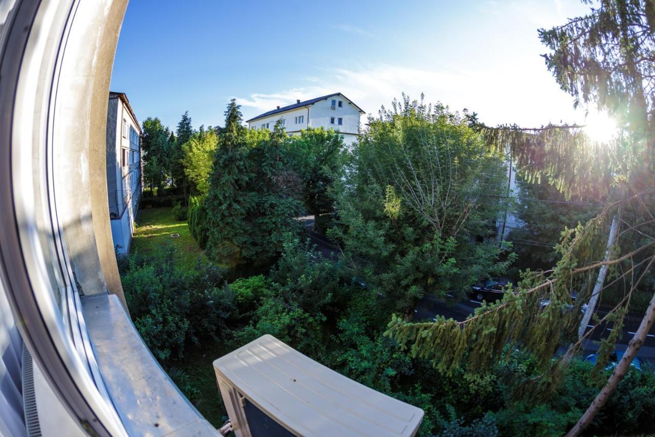 Apartament Family Rivulus 10 Nagybánya Kültér fotó